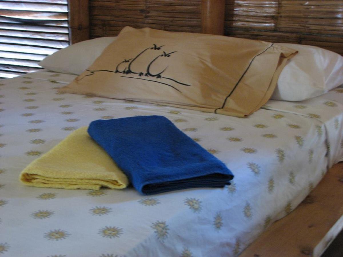 Eco-Hotel Playa Quilombo Las Lisas Dış mekan fotoğraf