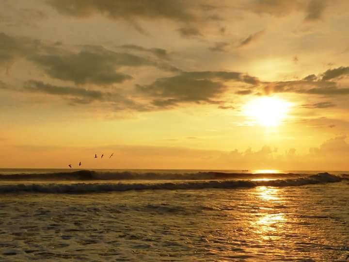 Eco-Hotel Playa Quilombo Las Lisas Dış mekan fotoğraf