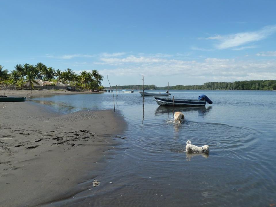 Eco-Hotel Playa Quilombo Las Lisas Dış mekan fotoğraf