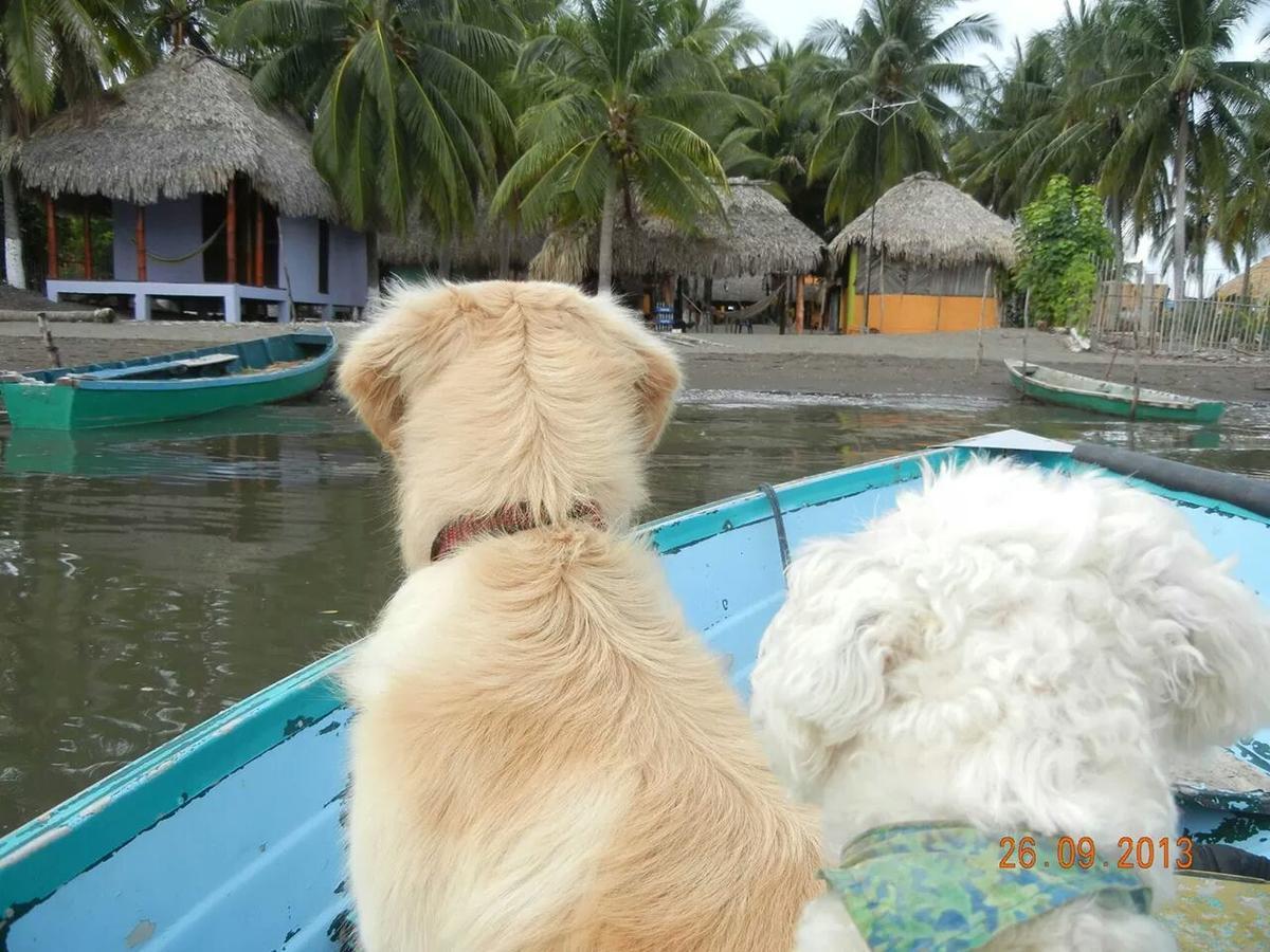 Eco-Hotel Playa Quilombo Las Lisas Dış mekan fotoğraf