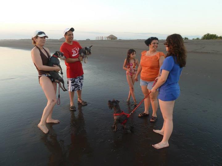 Eco-Hotel Playa Quilombo Las Lisas Dış mekan fotoğraf